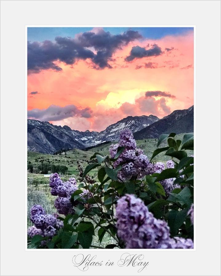 Pine Creek Cabin Livingston Montana Eksteriør bilde