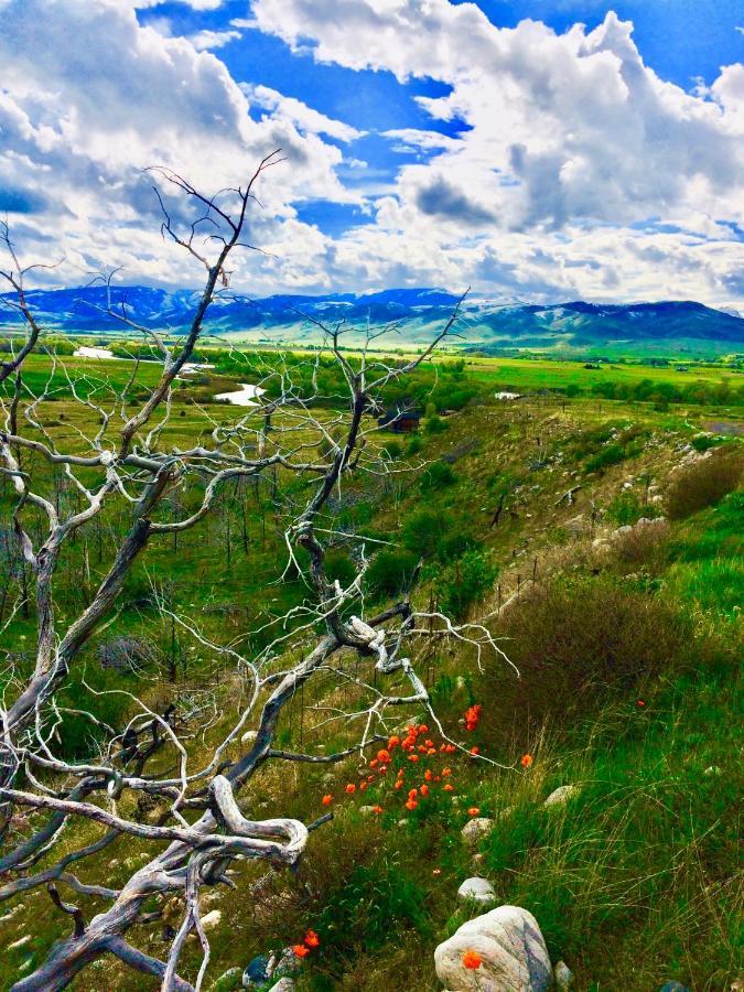 Pine Creek Cabin Livingston Montana Eksteriør bilde