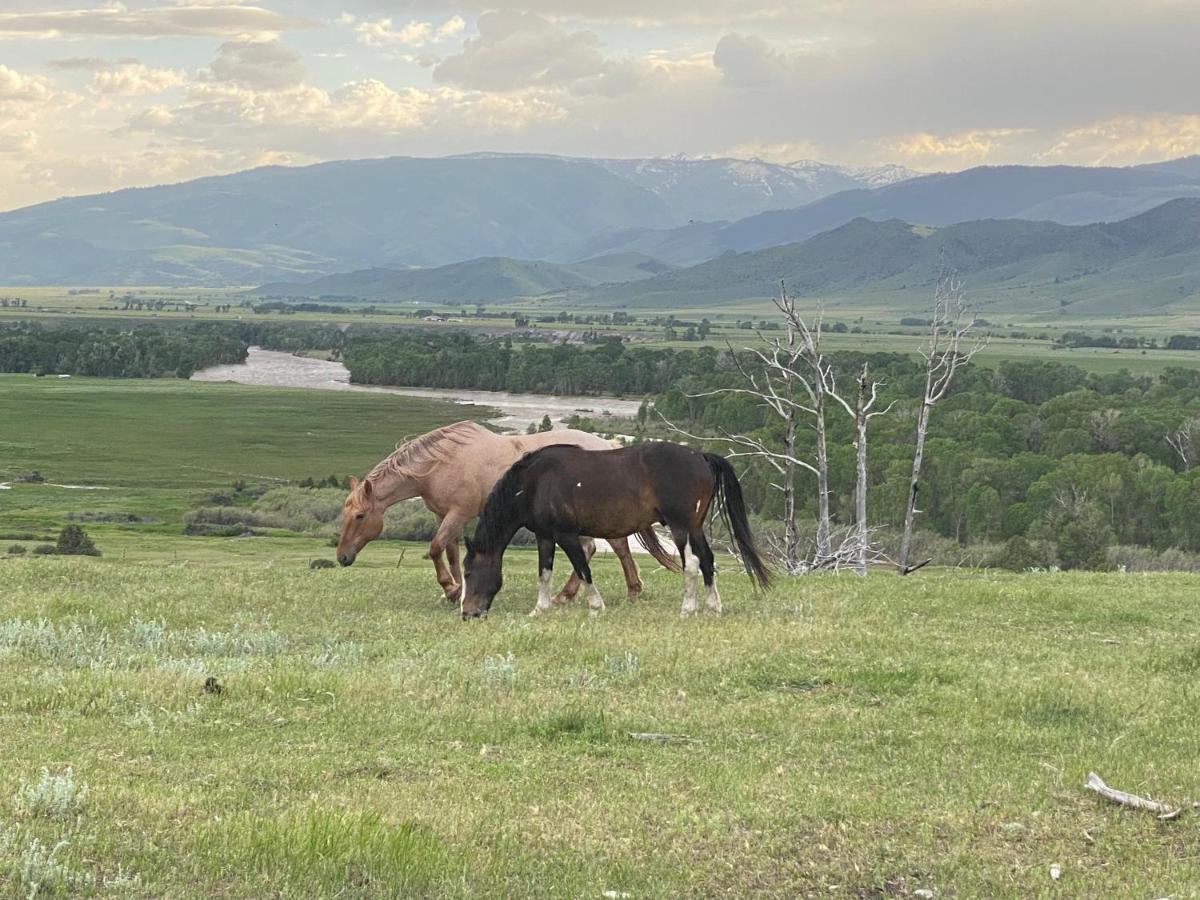 Pine Creek Cabin Livingston Montana Eksteriør bilde